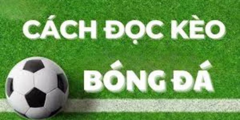 Hướng dẫn đọc kèo chấp nửa trái.